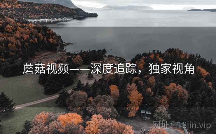 蘑菇视频——深度追踪，独家视角