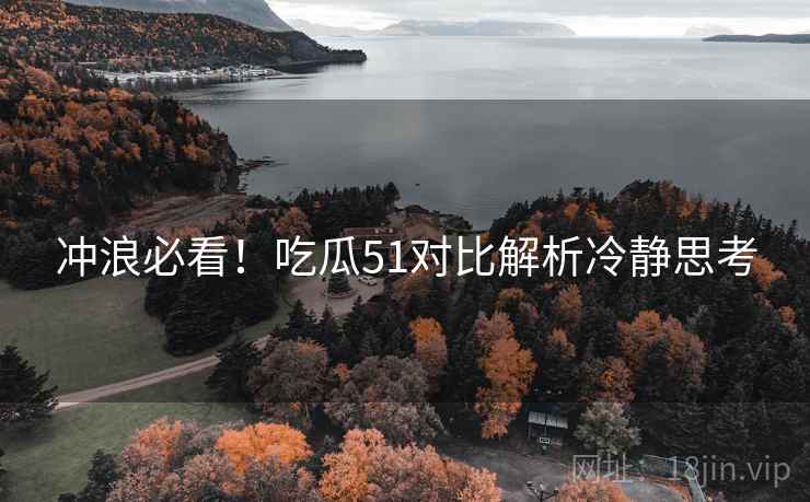 冲浪必看！吃瓜51对比解析冷静思考